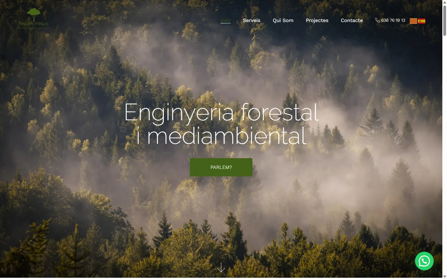 Web de Anoia Pinus diseñada por Olea Creative Studio